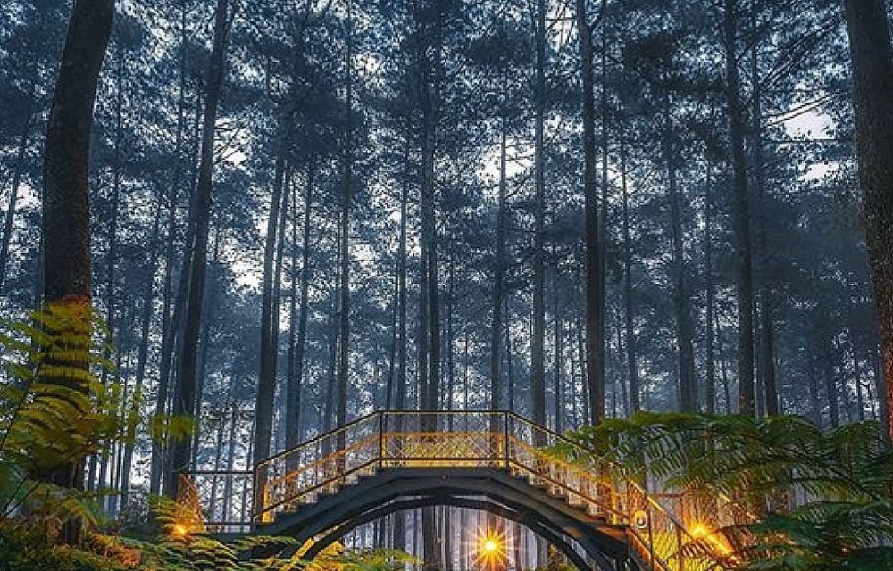 Cemara Hijau Lembang Attraction Pictures